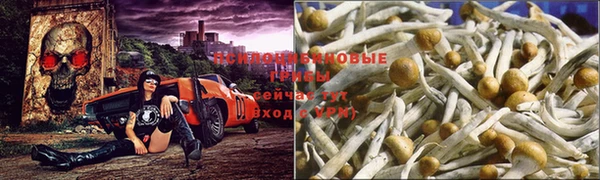 jwh Балабаново