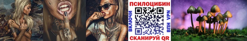 купить наркотик  Суворов  Галлюциногенные грибы GOLDEN TEACHER 